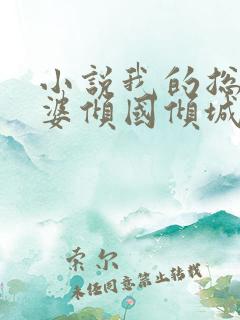 小说我的总裁老婆倾国倾城在线阅读