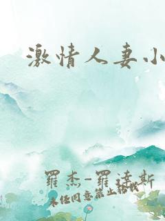 激情人妻小说网