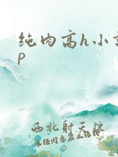 纯肉高h小说np