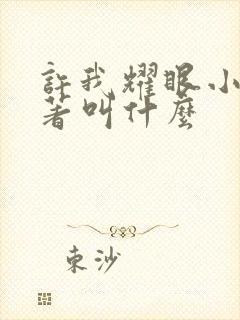 许我耀眼小说原著叫什么