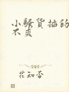 小骚货插的你爽不爽