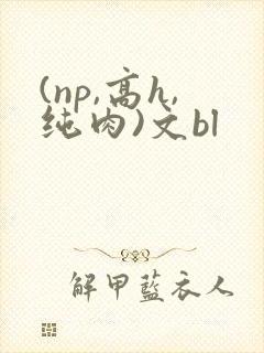 (np,高h,纯肉)文bl