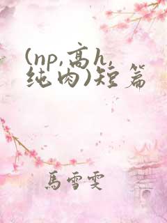 (np,高h,纯肉)短篇