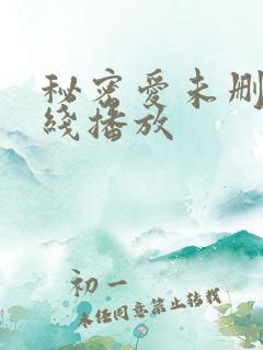 秘密爱未删减在线播放