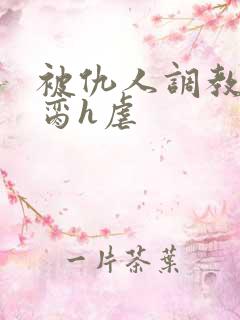 被仇人调教成禁脔h虐