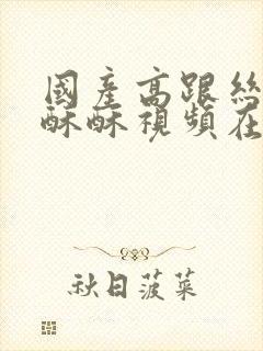 国产高跟丝袜麻酥酥视频在线