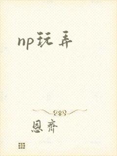 np玩弄