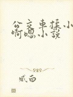 公交车揉小雪胸啊嗯小说