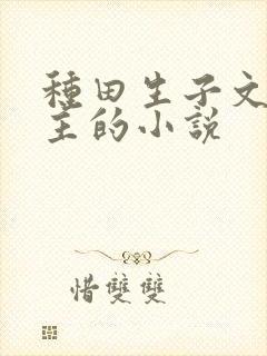 种田生子文双男主的小说