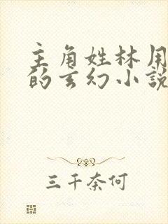 主角姓林用棍子的玄幻小说