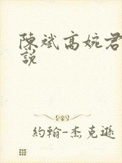 陈斌高婉君的小说