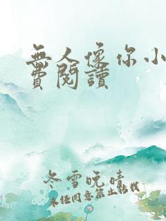 无人像你小说免费阅读