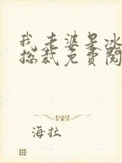 我老婆是冰山女总裁免费阅读最新