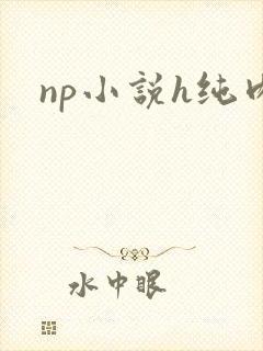 np小说h纯肉