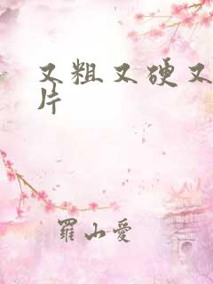 又粗又硬又爽毛片