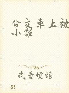 公交车上被强插小说