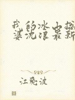 我的冰山总裁老婆沈浪最新章节