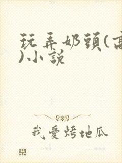 玩弄奶头(高h)小说