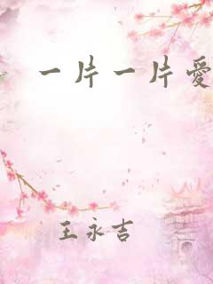 一片一片爱情雪