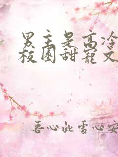 男主是高冷校草校园甜宠文