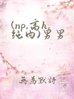 (np,高h,纯肉)男男