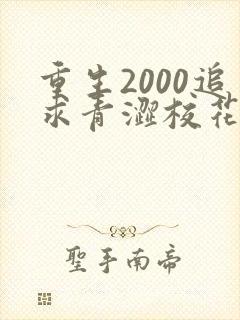 重生2000追求青涩校花同桌开始在线全文阅读