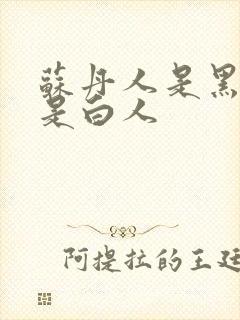 苏丹人是黑人还是白人