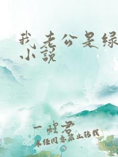 我老公是绿帽奴小说