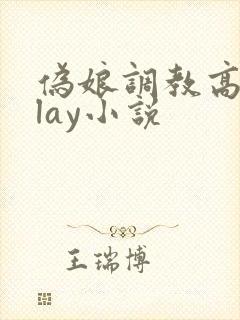 伪娘调教高hplay小说