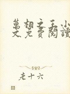 万相之王小说全文免费阅读无弹窗