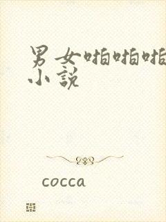 男女啪啪啪3p小说