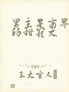 男主是商界大佬的甜宠文