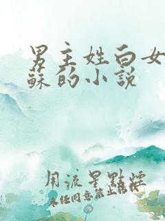 男主姓白女主姓苏的小说