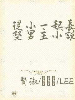 从小一起长大的双男主小说推荐