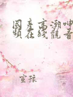 国产高潮呻吟视频在线观看