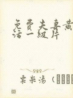 免费夫妻黄色生活一级片