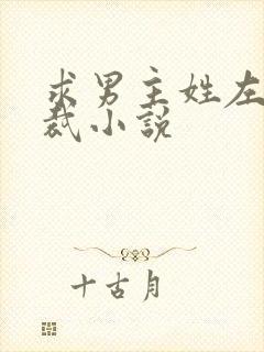 求男主姓左的总裁小说