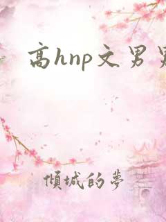 高hnp文男男
