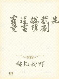 霸道总裁先婚后爱电视剧