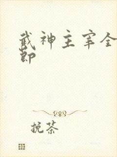 武神主宰全部章节