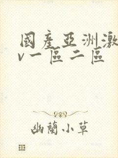 国产亚洲激情av一区二区