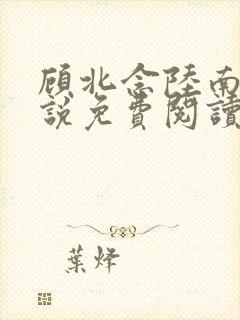 顾北念陆南辰小说免费阅读无弹窗