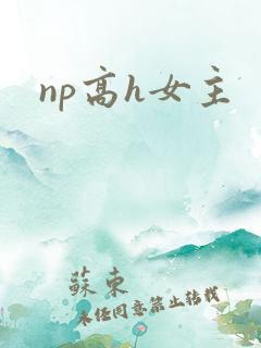 np高h女主