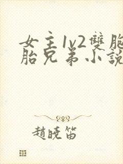 女主1v2双胞胎兄弟小说男主姓龙的小