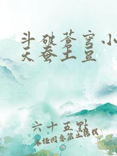 斗破苍穹小说 天蚕土豆