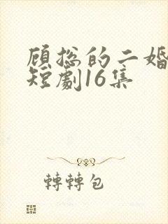 顾总的二婚娇妻短剧16集