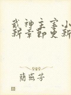 武神主宰小说最新章节更新