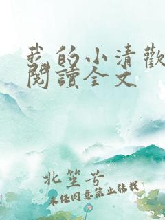 我的小清欢在线阅读全文
