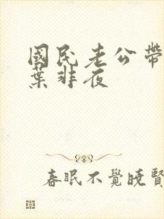 国民老公带回家叶非夜