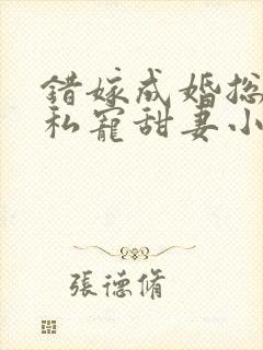 错嫁成婚总裁的私宠甜妻小说完整版